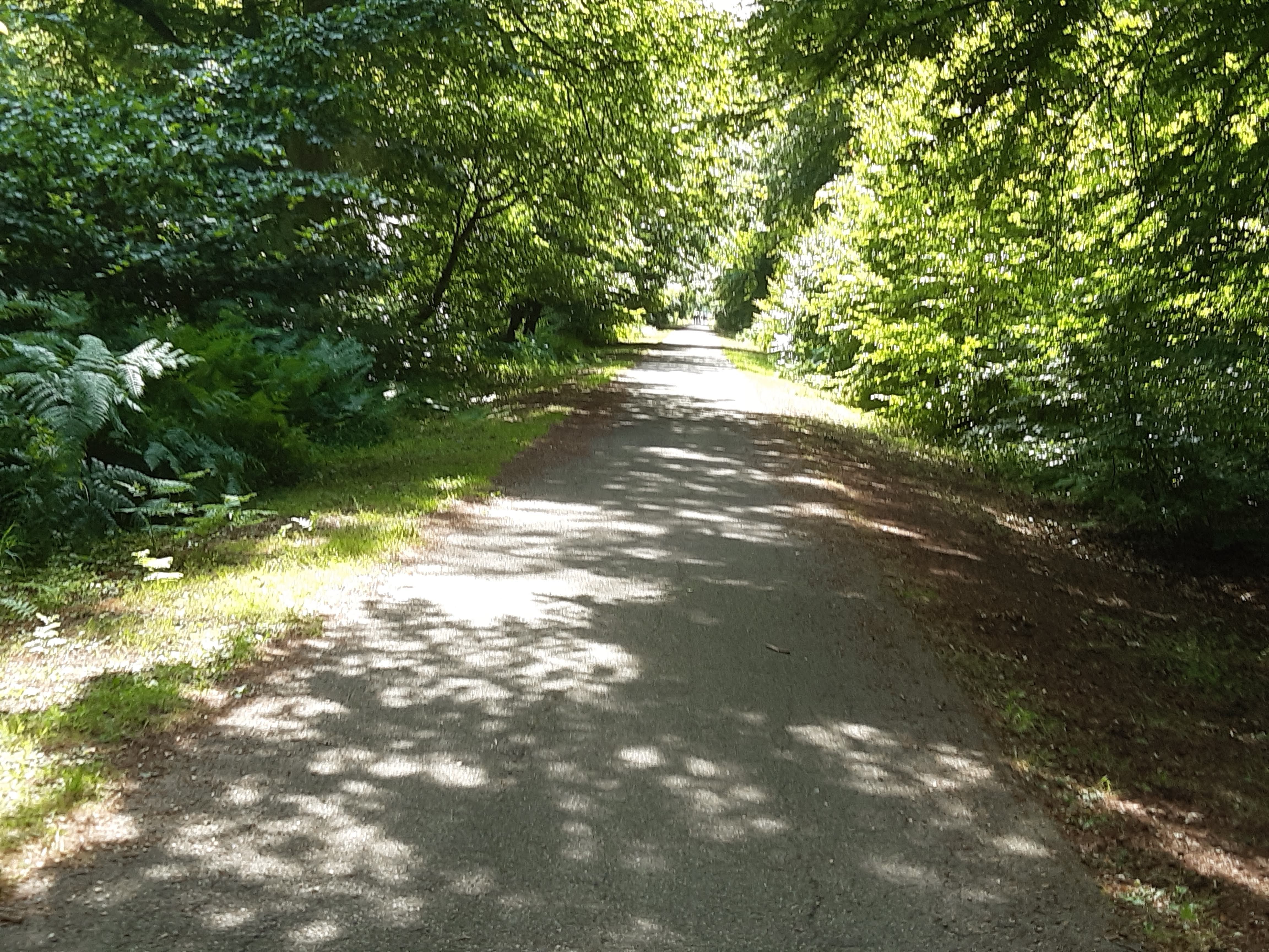 Photo n° 1 de l'avis de Fabrice.a fait le 22/07/2019 à 16:11