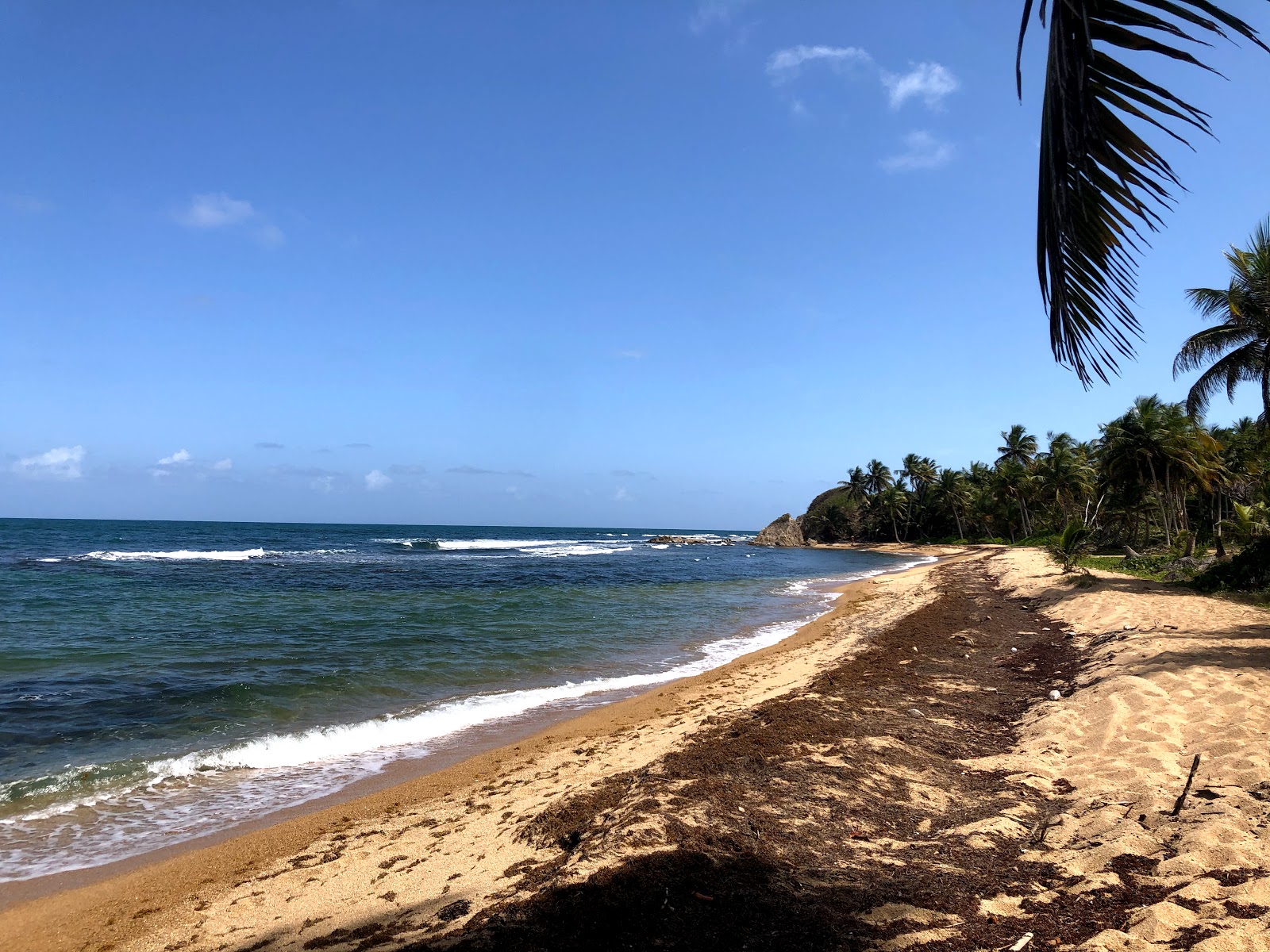 Playa Secret Beach'in fotoğrafı geniş bir kıyı şeridi ile birlikte