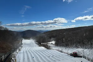 The Plunge Snow Tubing Park image