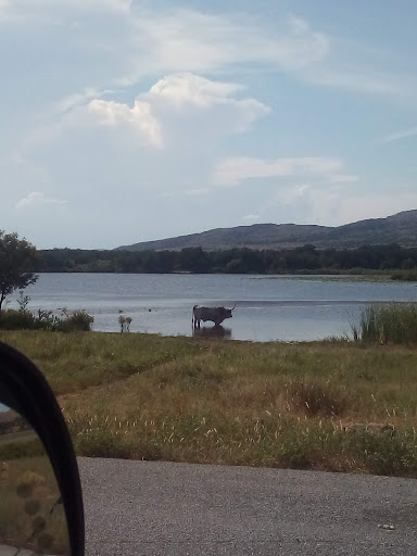 Judah House Of Si’On