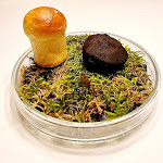 Photo n°12 de l'avis de Claudia. fait le 21/05/2023 à 07:52 sur le  Posthotel Alexander Herrmann à Wirsberg