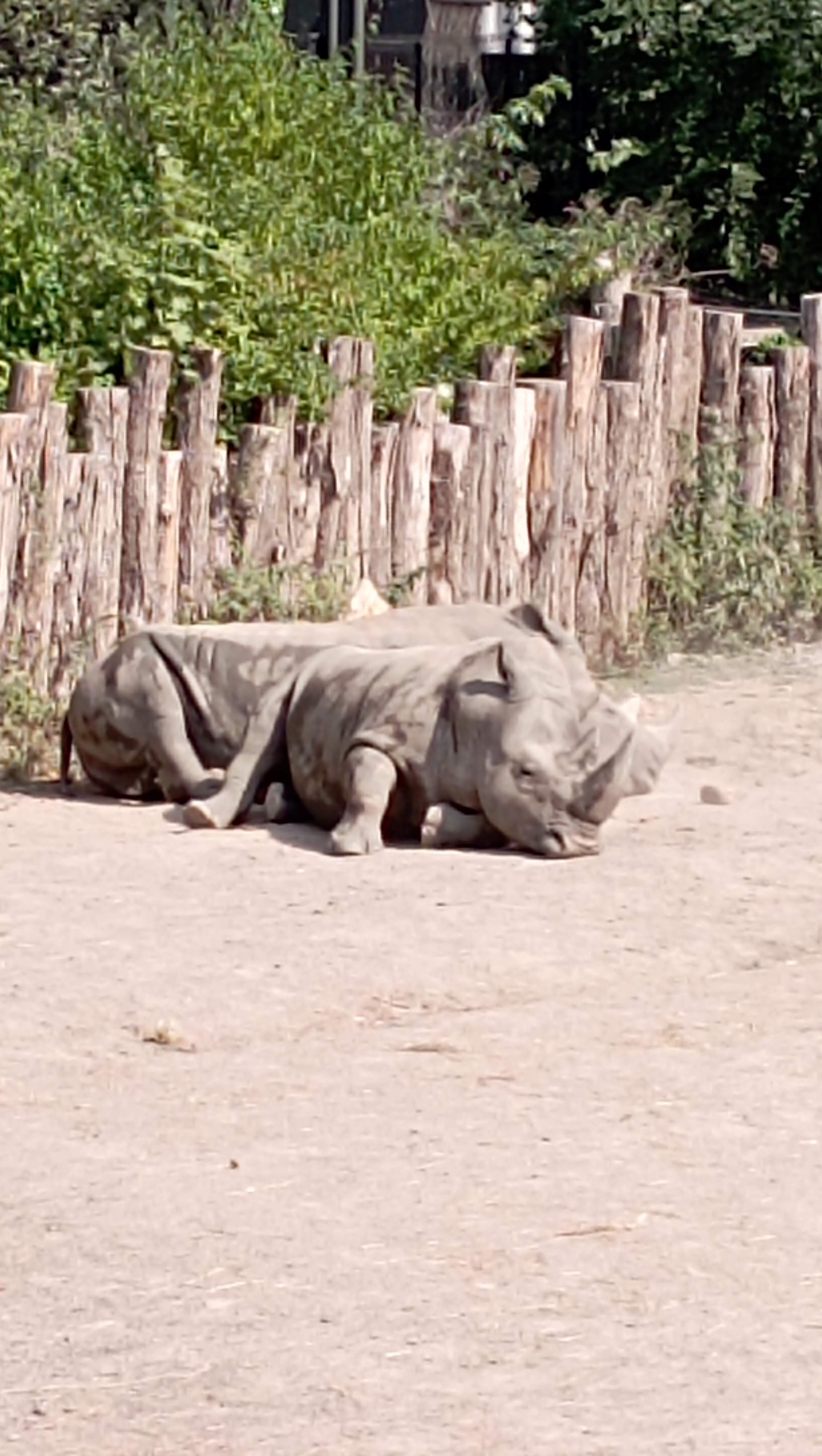 Photo n° 3 de l'avis de Lionel.r fait le 28/08/2022 à 11:00