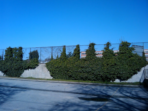 Park «Dutch Broadway Park», reviews and photos, 2161 Dutch Broadway, Elmont, NY 11003, USA