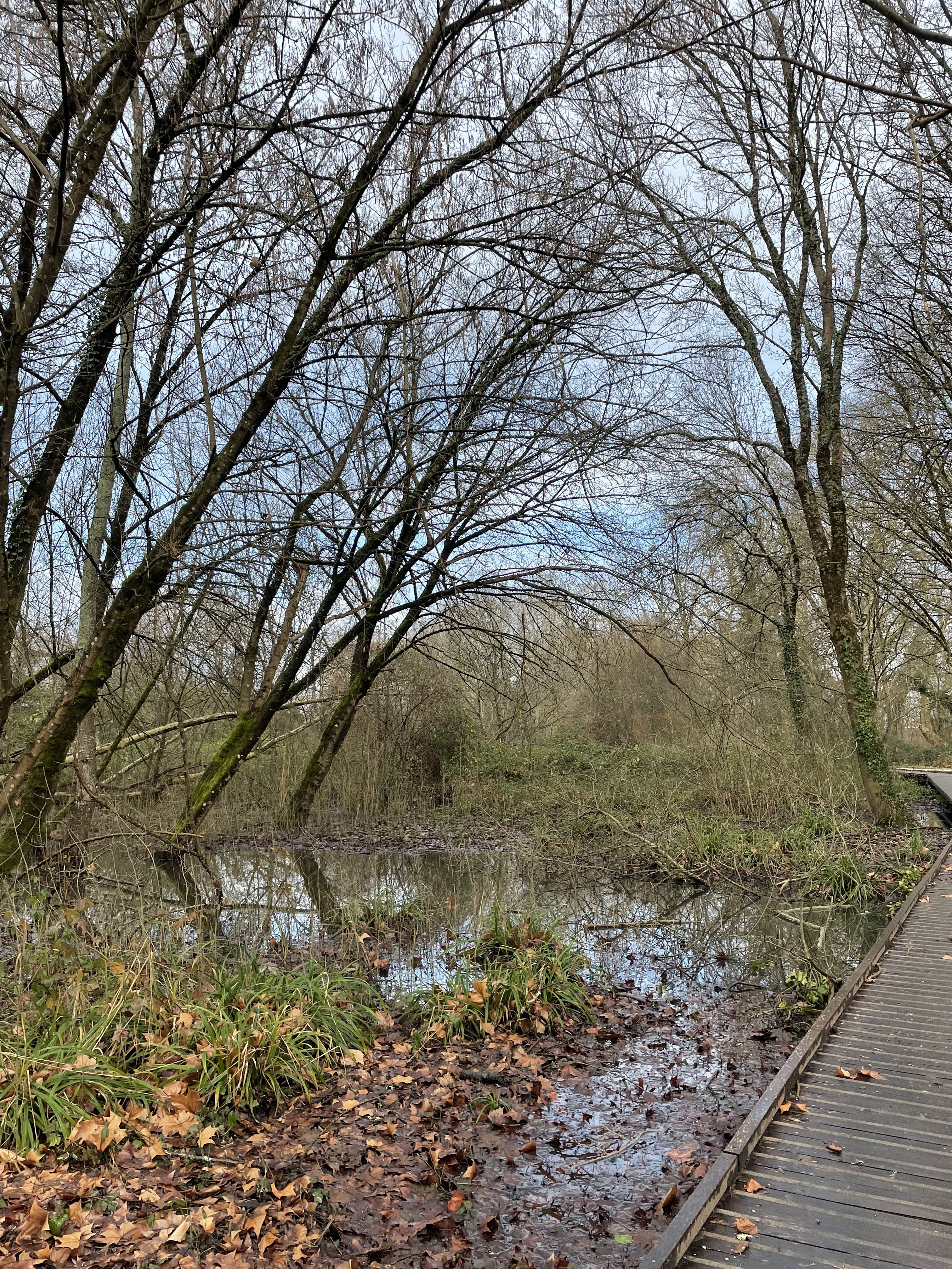 Photo n° 2 de l'avis de Lou. fait le 01/01/2024 à 13:45