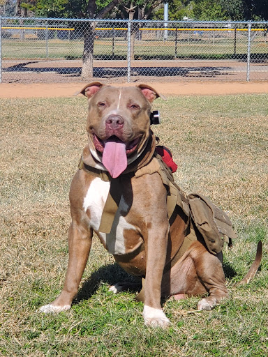 Park «El Oso Park», reviews and photos, 3451 N 75th Ave, Phoenix, AZ 85033, USA