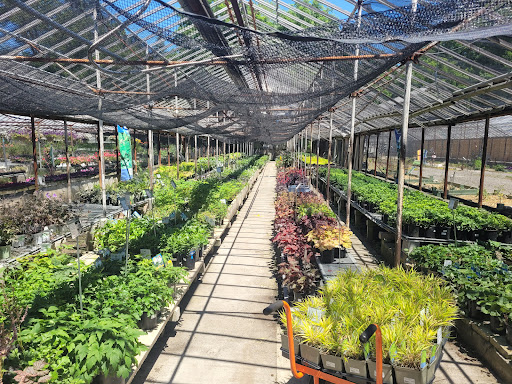 Plant Nursery «Goldner Walsh Garden and Home», reviews and photos, 559 Orchard Lake Rd, Pontiac, MI 48341, USA
