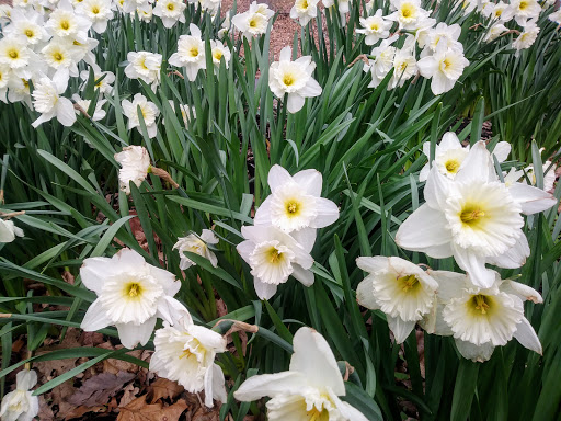 Park «East Rock Park», reviews and photos, 41 Cold Spring St, New Haven, CT 06511, USA