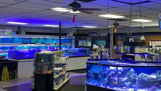 Pet Supply Store «Aquariums and Reptiles», reviews and photos, 11400 S Cleveland Ave, Fort Myers, FL 33907, USA