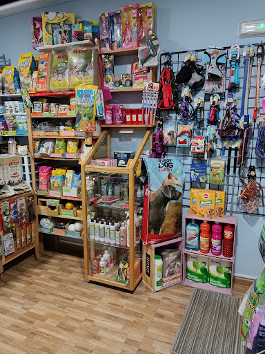 PuppyDog en Noalejo, Jaén