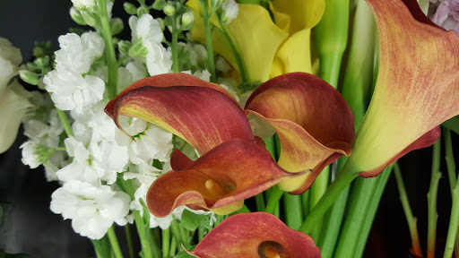 Florist «Capitol Florist», reviews and photos, 409 3rd St SW, Washington, DC 20024, USA