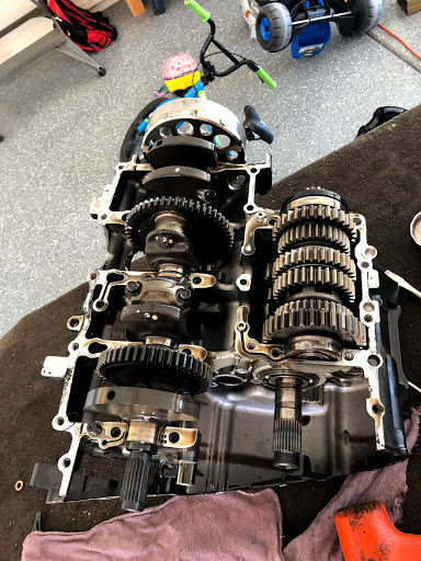 Honda Dealer «Western Honda Powersports», reviews and photos, 6717 E McDowell Rd, Scottsdale, AZ 85257, USA