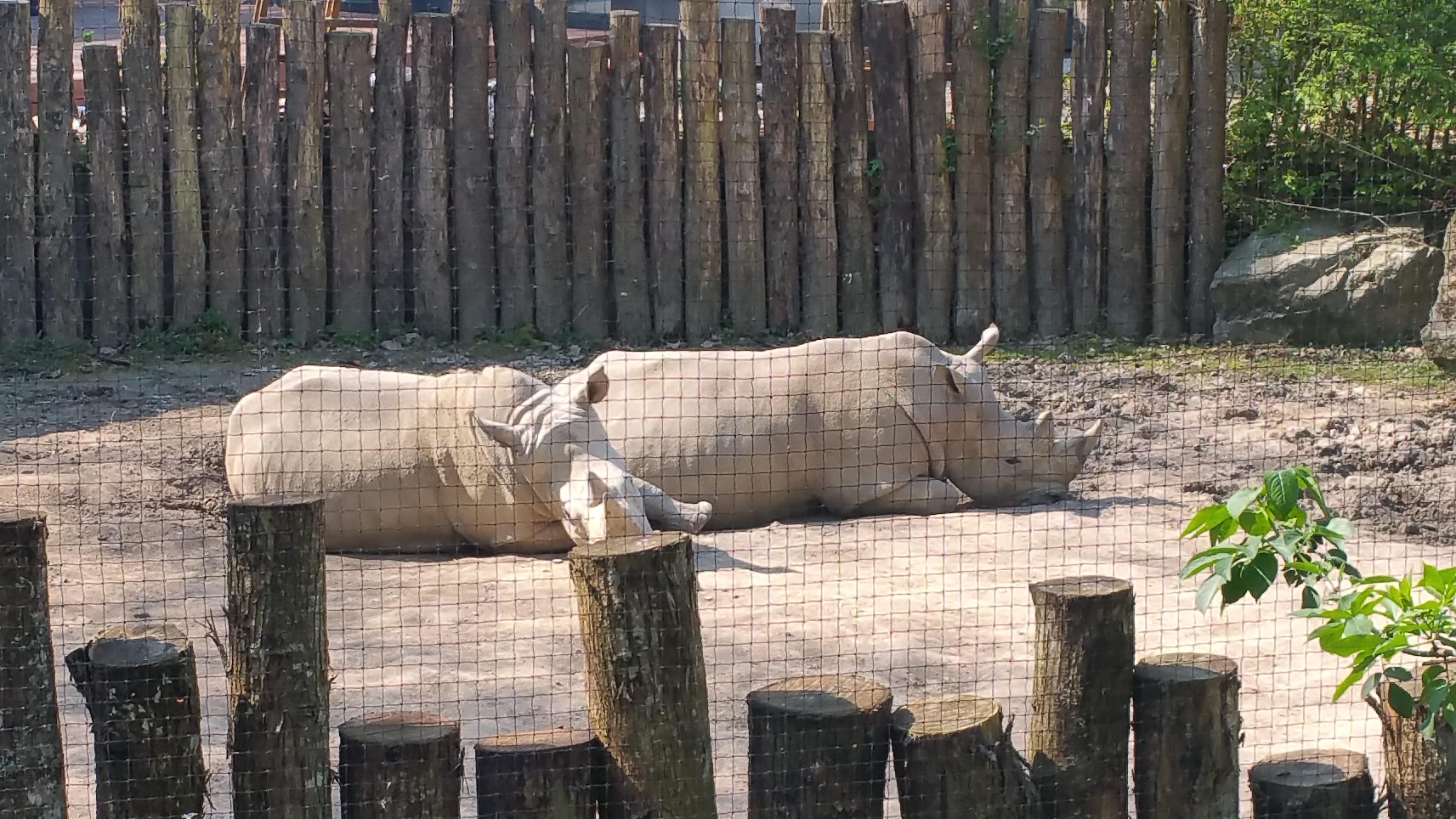 Photo n° 5 de l'avis de Arti.h fait le 19/04/2019 à 13:02
