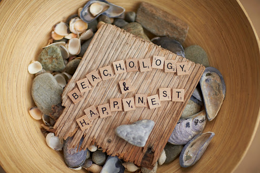 Gift Shop «Beachology», reviews and photos, 38 Old Orchard St, Old Orchard Beach, ME 04064, USA