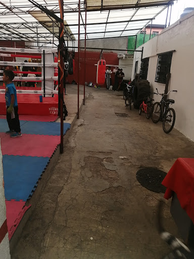 Escuela de jujitsu Tlalnepantla de Baz