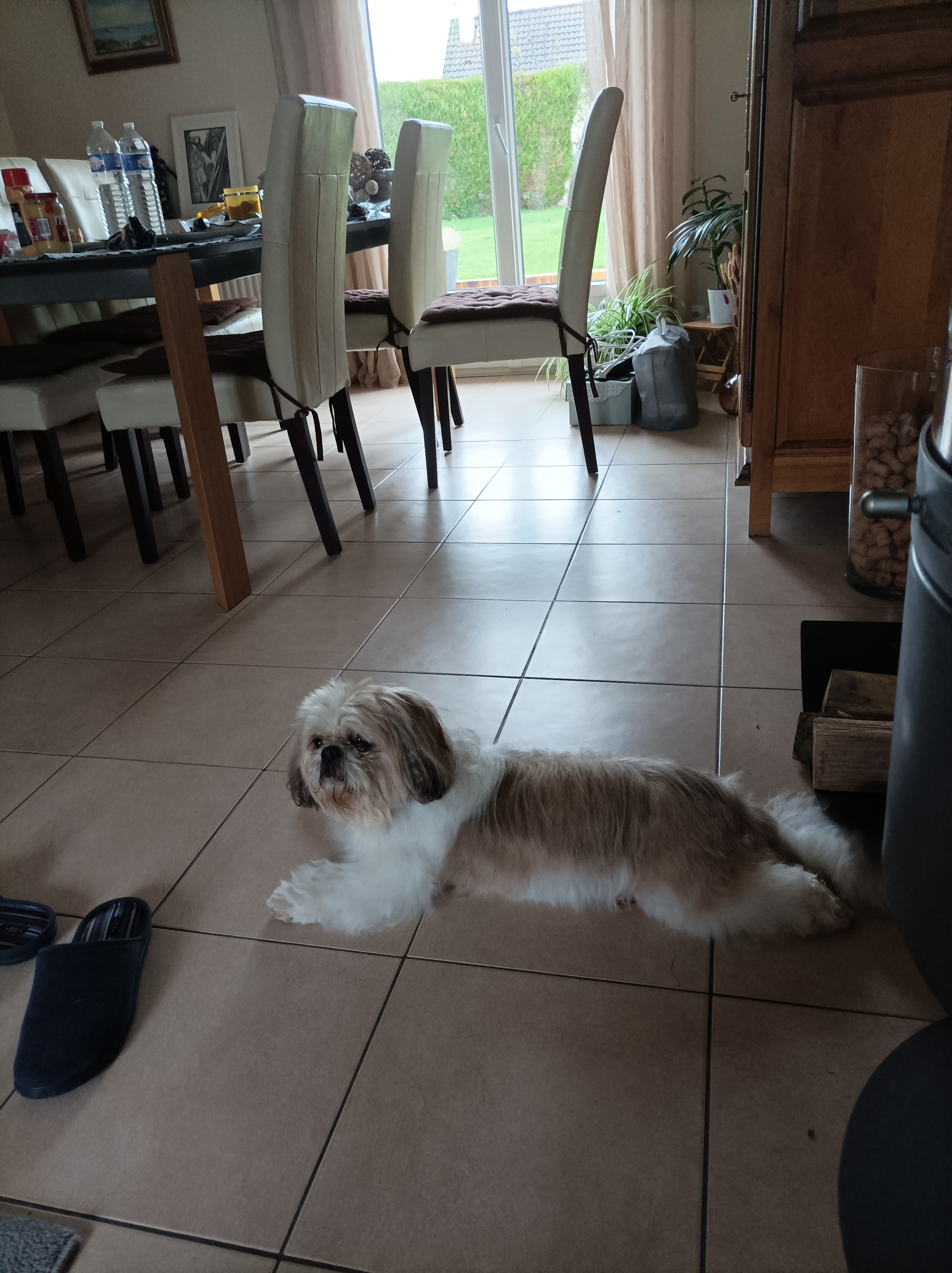 Photo n° 1 de l'avis de Sylvie.a fait le 30/11/2023 à 08:27