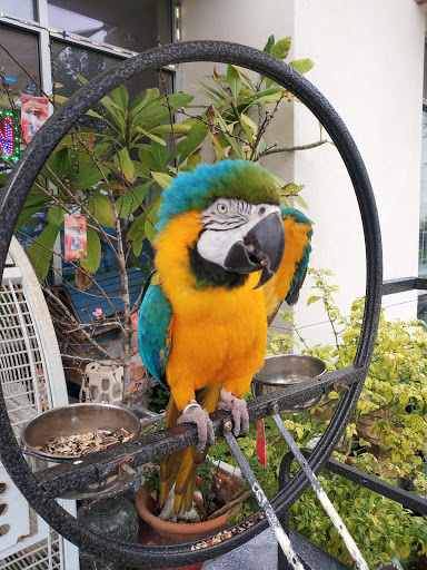 Pet Store «Fish-N-Pets Unlimited», reviews and photos, 11710 Bissonnet St, Houston, TX 77099, USA