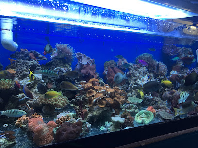 Aquarium Service Toronto