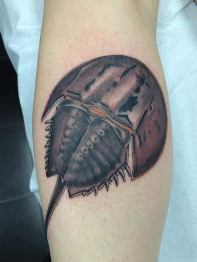 Explore 3 sibling tattoo ideas, creative tattoo ideas in Baltimore, available at Saints & Sinners Tattoos (NO piercings)