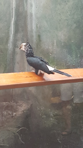 Zoo «Wild Kingdom Pavilion», reviews and photos, 3701 S 10th St, Omaha, NE 68108, USA