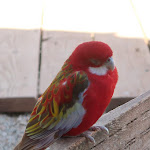 Photo n° 17 de l'avis de Oli.o fait le 09/09/2019 à 14:48 pour ZooParc Du Cannet Des Maures à Le Cannet-des-Maures