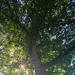 Photo n° 5 de l'avis de vincent.i fait le 25/08/2022 à 17:55 pour Lac Du Mole à Ville-en-Sallaz