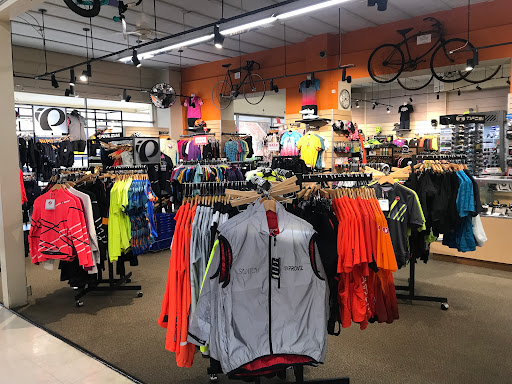 Bicycle Store «Orange Cycle», reviews and photos, 2204 Edgewater Dr, Orlando, FL 32804, USA