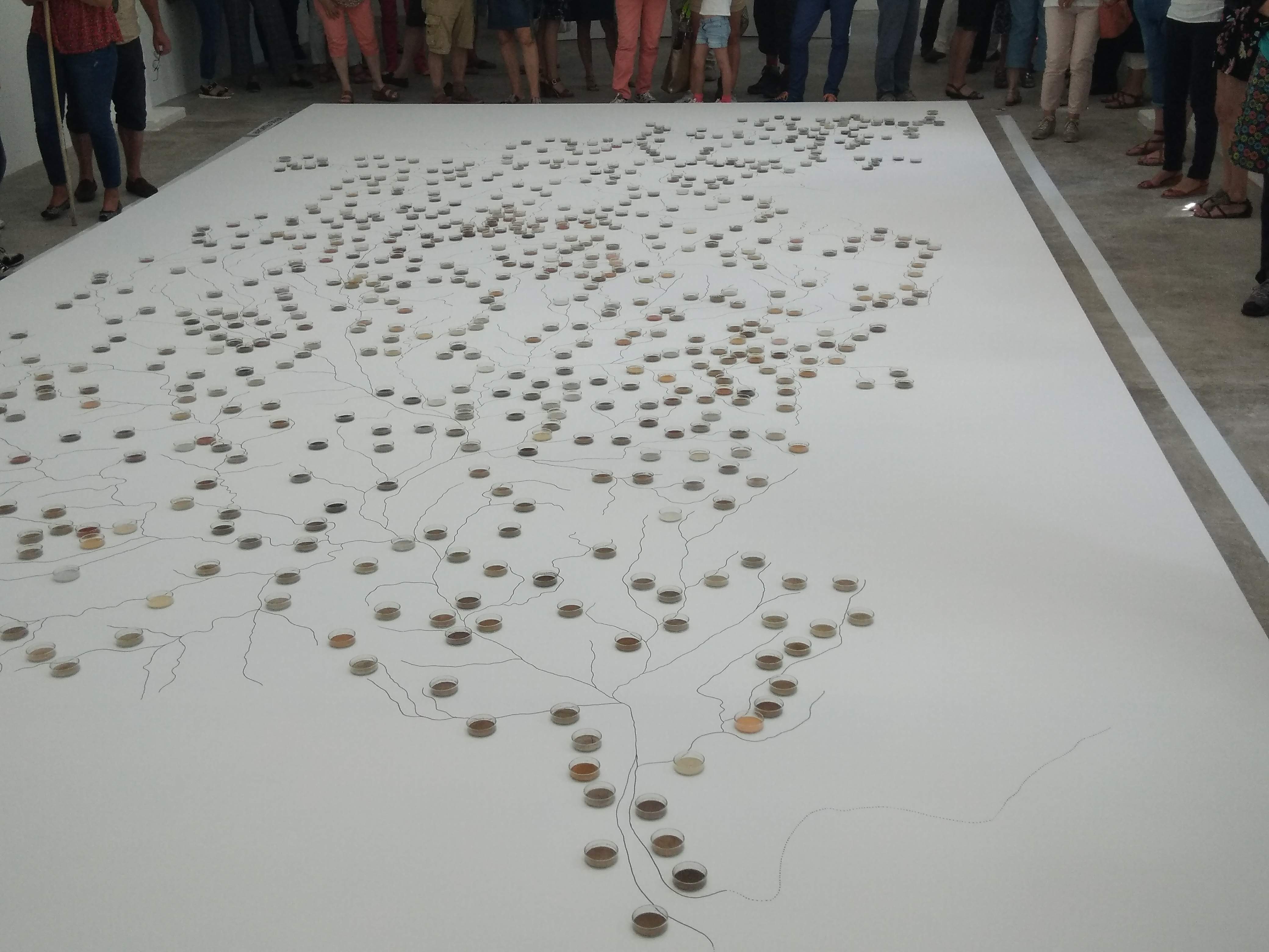 Photo n° 6 de l'avis de Nathalie.T fait le 12/07/2018 à 21:49