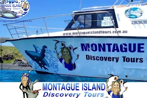 Lighthouse Charters Narooma & Montague Island Discovery Tours with Wazza image
