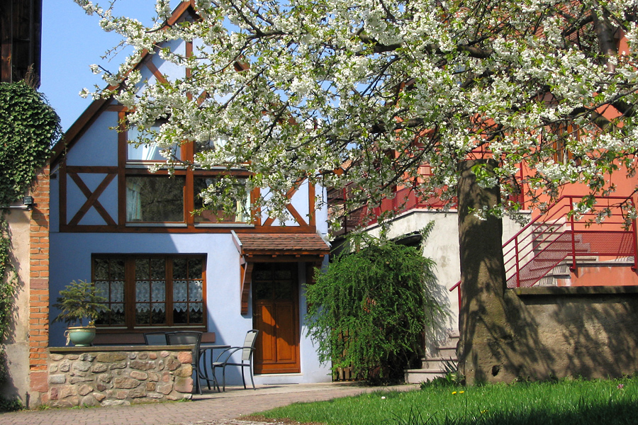 Gîte Le Clos du Schlossberg à Kaysersberg (Haut-Rhin 68)