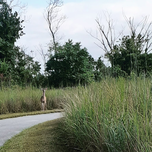Park «Fox Point State Park», reviews and photos, Hay Road, Wilmington, DE 19809, USA