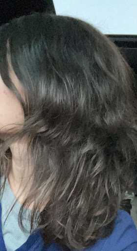 Beauty Salon «Salon Cheveux», reviews and photos, 226 S River Ave, Holland, MI 49423, USA