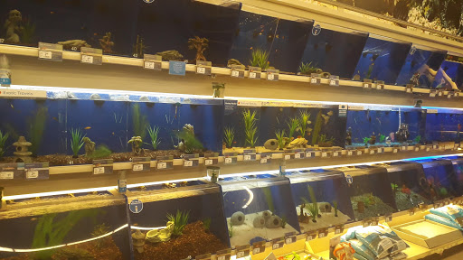 Shopping Mall «Fresh Pond Mall», reviews and photos, 545 Concord Ave #21, Cambridge, MA 02138, USA