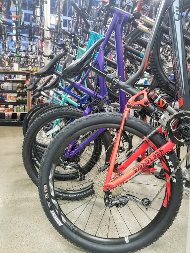 Bicycle Store «Bicycle Centres of Everett», reviews and photos, 4707 Evergreen Way, Everett, WA 98203, USA