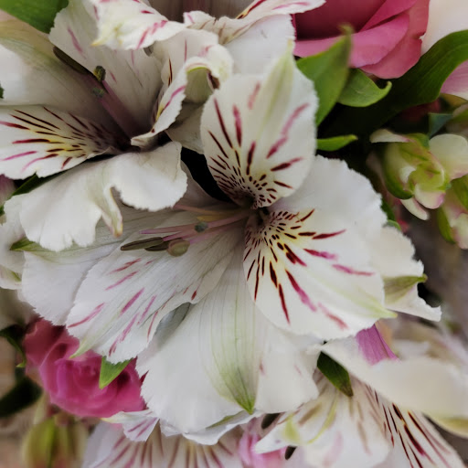 Grocery Store «Giant Food Stores», reviews and photos, 3400 Concord Rd, Aston, PA 19014, USA