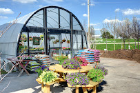 S & H Nursery - Photo 5 - Car repair in Roscoe, IL, Rockford