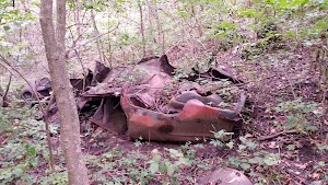 Landahl Mountain Bike Park - photo 73
