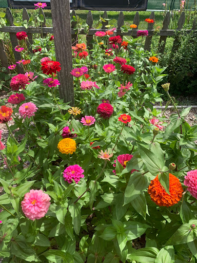 Grocery Store «Good Earth Market & Organic Farm», reviews and photos, 31806 Good Earth Ln, Ocean View, DE 19970, USA