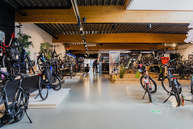 Beoordelingen van Wildiers (e)-bikecenter Geel in Hasselt - Fietsenwinkel