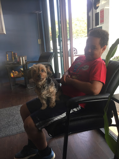 Auto Repair Shop «Davis Import Auto Service», reviews and photos, 638 Cantrill Dr, Davis, CA 95618, USA