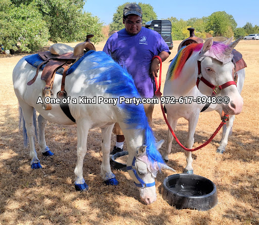 Zoo «A One of A Kind Pony Party», reviews and photos, 912 Bells Chapel Cir, Waxahachie, TX 75165, USA