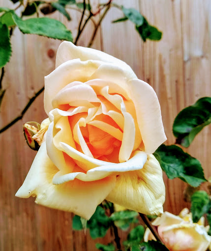 Park «Melilah Park», reviews and photos, SW 182nd Ave, Aloha, OR 97006, USA