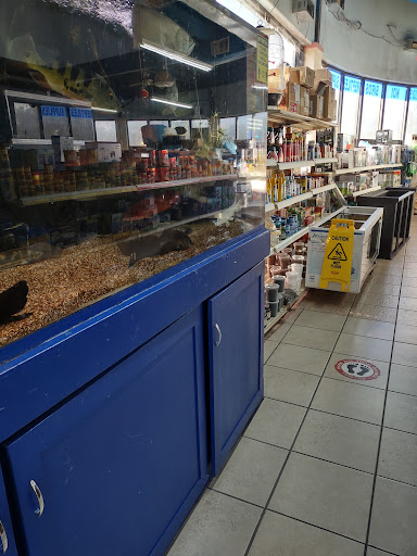 Tropical Fish Store «Xtreme Fish & Pets», reviews and photos, 11415 Bellaire Blvd # A, Houston, TX 77072, USA