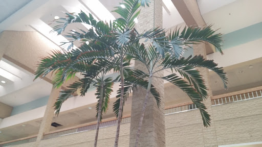 Shopping Mall «Century III Mall», reviews and photos, 3075 Clairton Rd, West Mifflin, PA 15123, USA