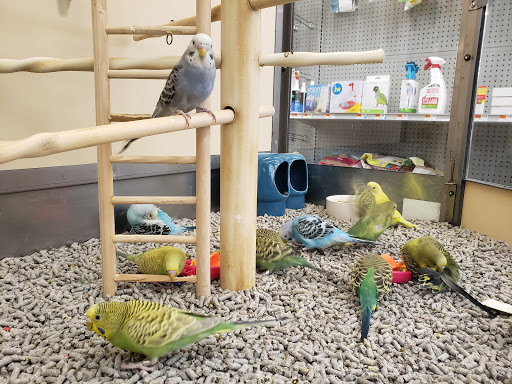 Pet Supply Store «Petco Animal Supplies», reviews and photos, 10464 Baltimore Ave, Beltsville, MD 20705, USA