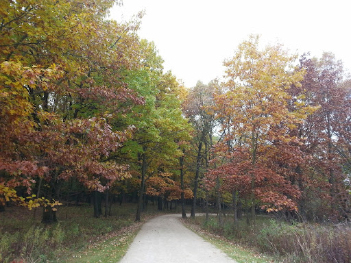 Nature Preserve «Grant Woods Forest Preserve», reviews and photos, 25405 W Monaville Rd, Ingleside, IL 60041, USA