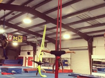 Gym Force Gymnastics & Aerial Arts