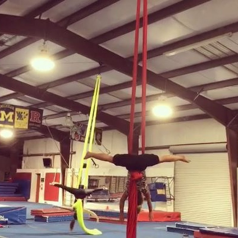 Gym Force Gymnastics & Aerial Arts