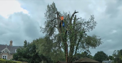 BTX Tree Care and Rescue