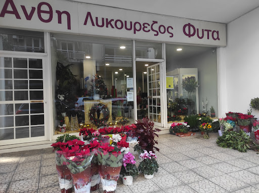 eflowers.gr | ανθοπωλείο | online flower shop