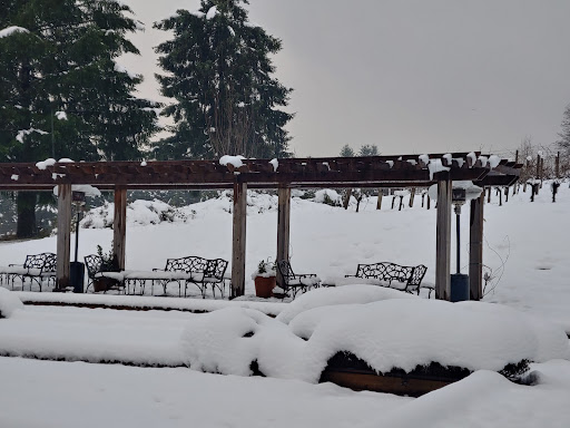Winery «Apolloni Vineyards», reviews and photos, 14135 NW Timmerman Rd, Forest Grove, OR 97116, USA